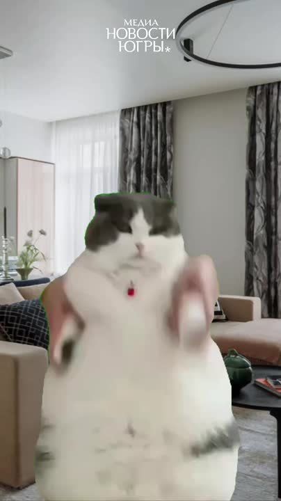  ,        !