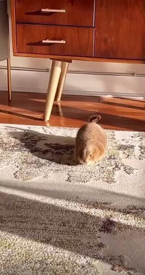  , !.  ,      !        ,     ,      !    