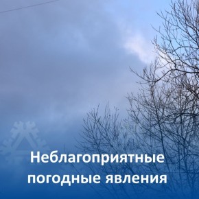   -       , 21          18 /,  , 