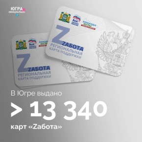   Z     13  
