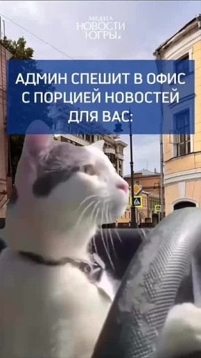  , !.        ,     !            ,     !  ...