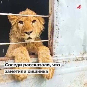   :        