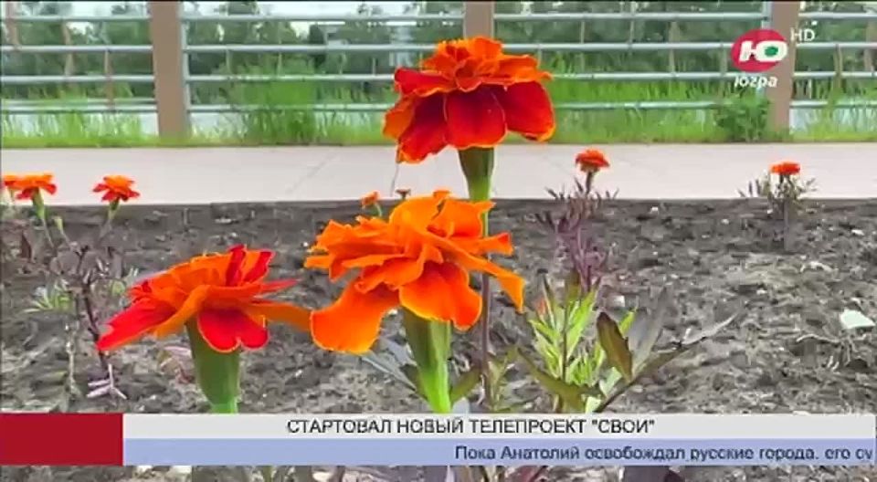       Ȼ -          