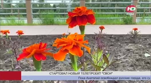       Ȼ -          