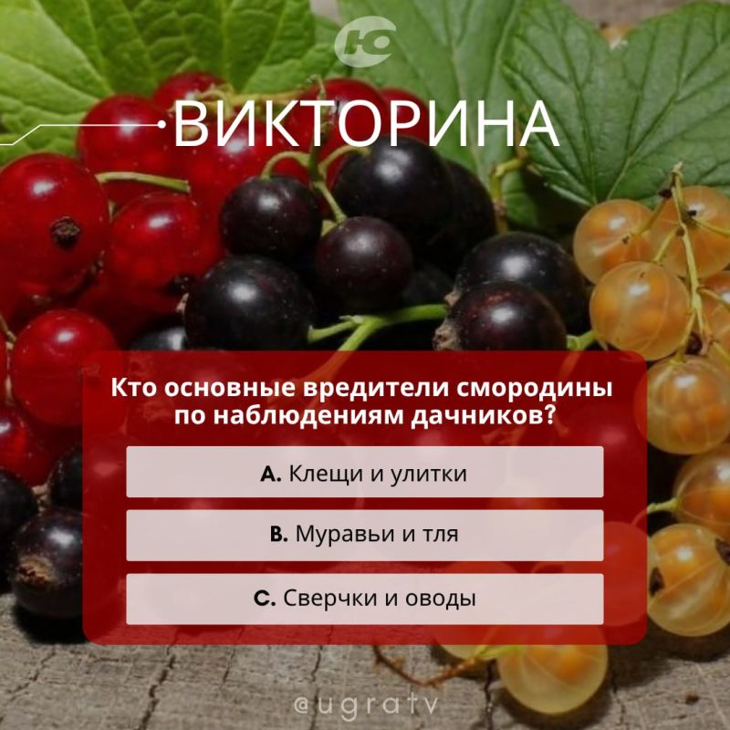  ?   ,       1  5