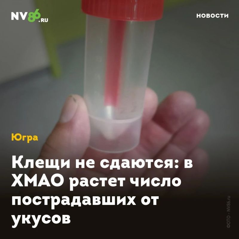   :       