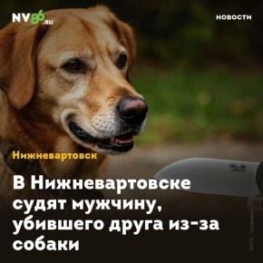    ,   - 