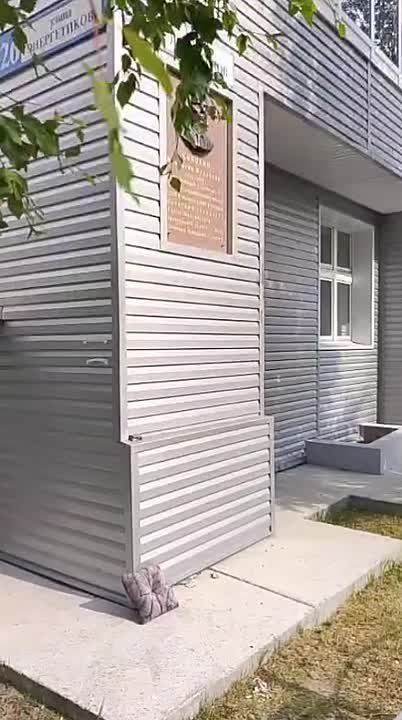        ,   ,      Ը 