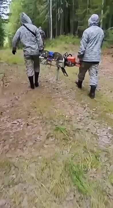   !.     