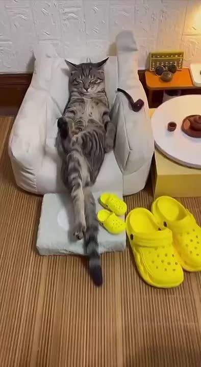  , !.      