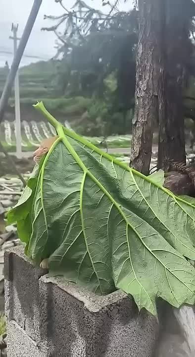  .     !    