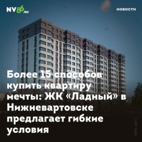  15    :       