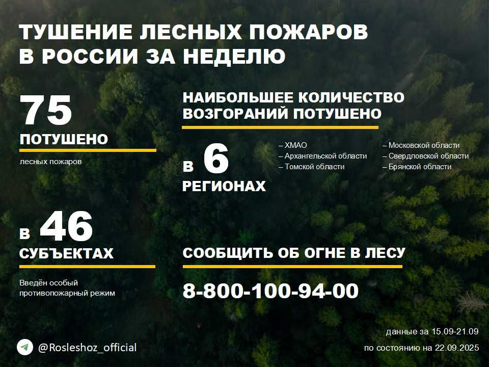 По данным Авиалесоохраны, подведомственной организации Рослесхоза, за прошедшую неделю потушено 75 лесных пожаров в 32 регионах России