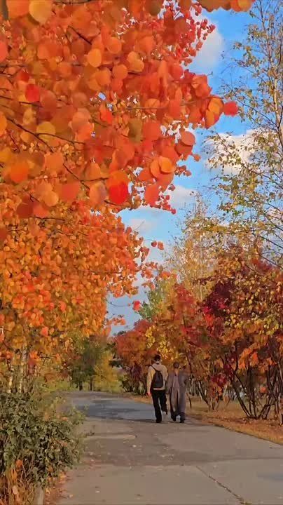 Каждый рассвет — это напоминание о том, что нужно жить полной жизнью