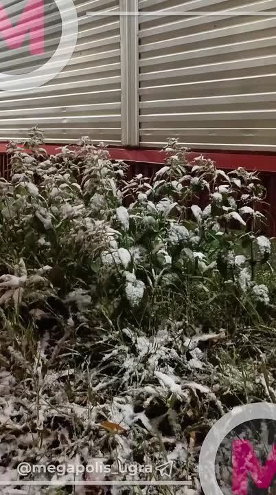 Наконец-то пятница! Админ ложится спать и надеется, что завтра за окном будет не так снежно, как в Нижневартовске