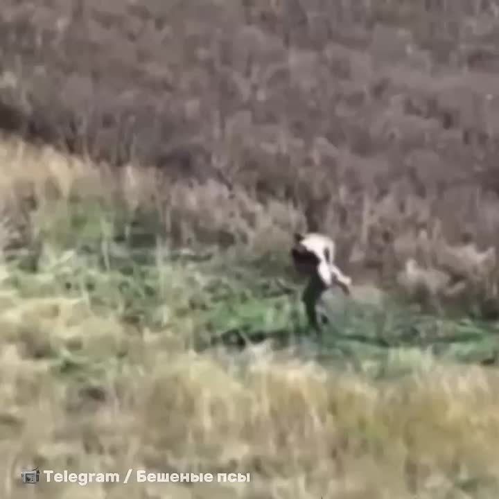 Российский боец спас раненого товарища, пронеся его под обстрелами на себе более двух километров