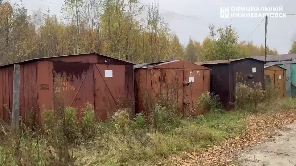          ( ),      ,      ...