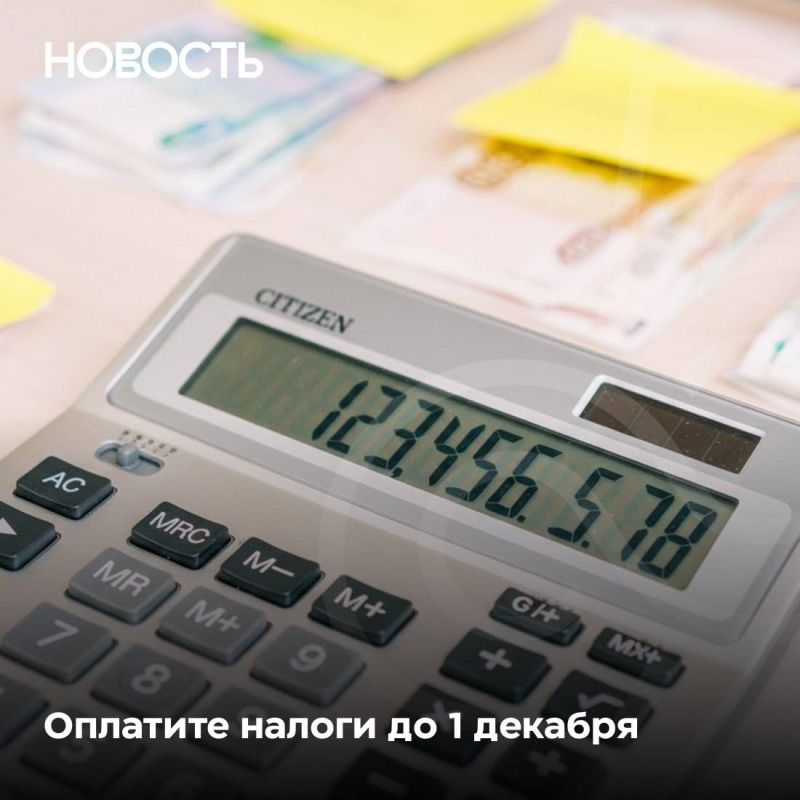 В России стартует кампания по уплате налогов за 2024 год