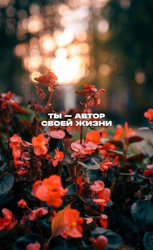 Превратите свой экран в осеннюю Югру