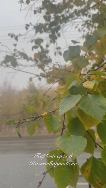 Начинаем этот день с красоты