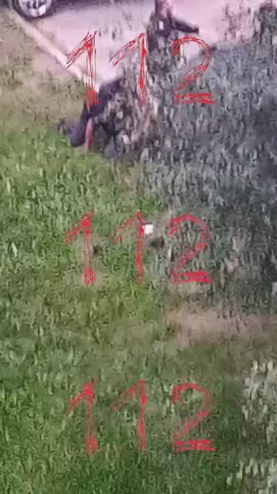  :        ,     ,       ,   ,  ...