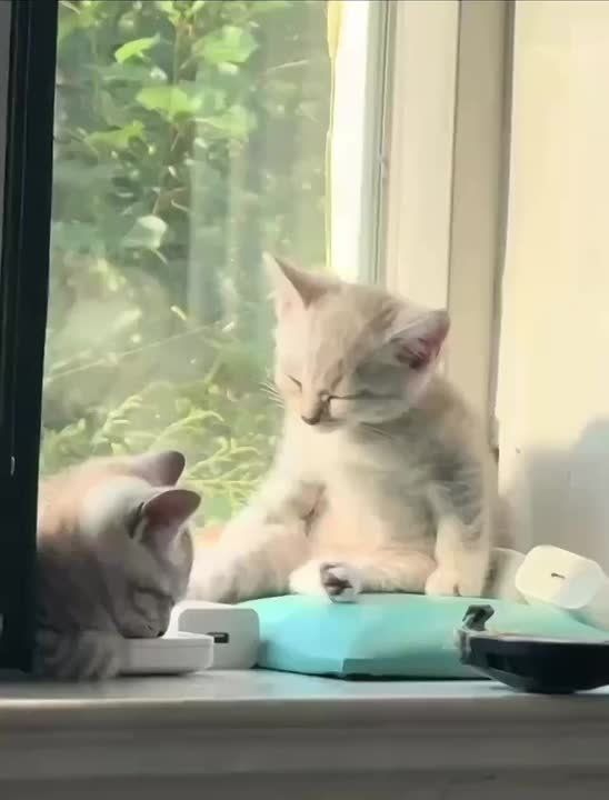  , !.         ,         |    MAX