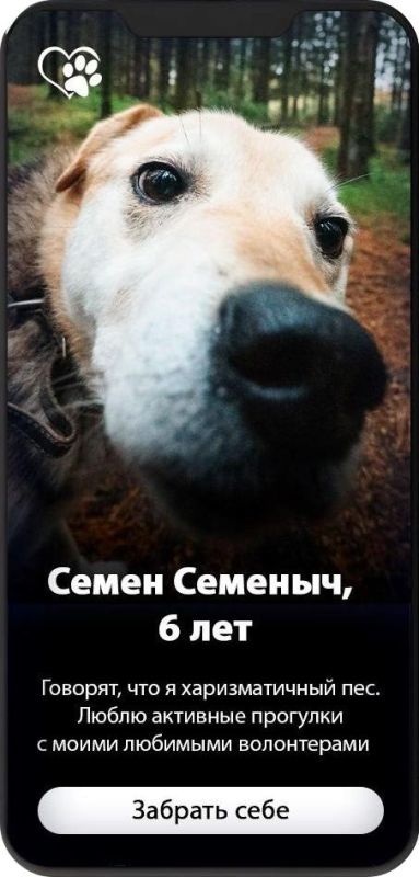 ,        ?