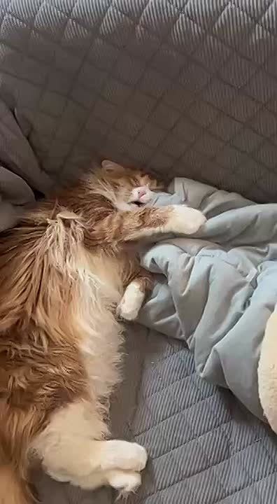  ,        