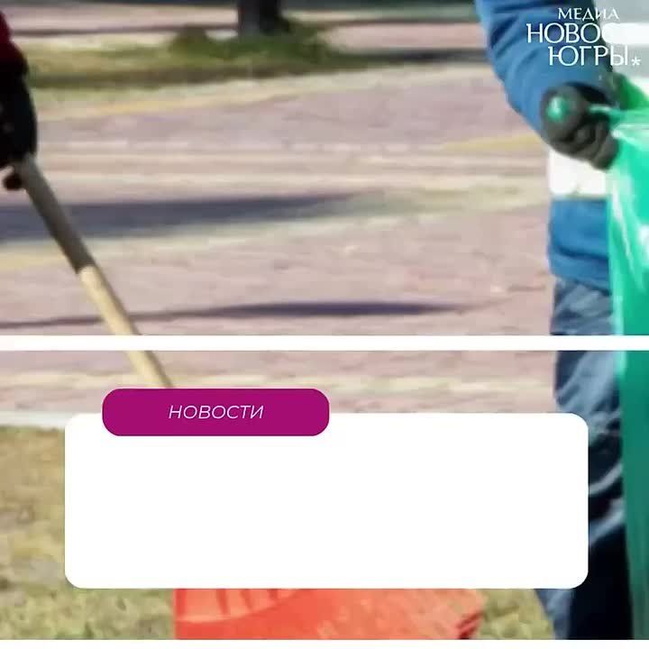  ,     ,     