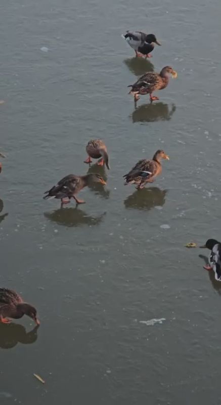 Волшебство – это вера в себя