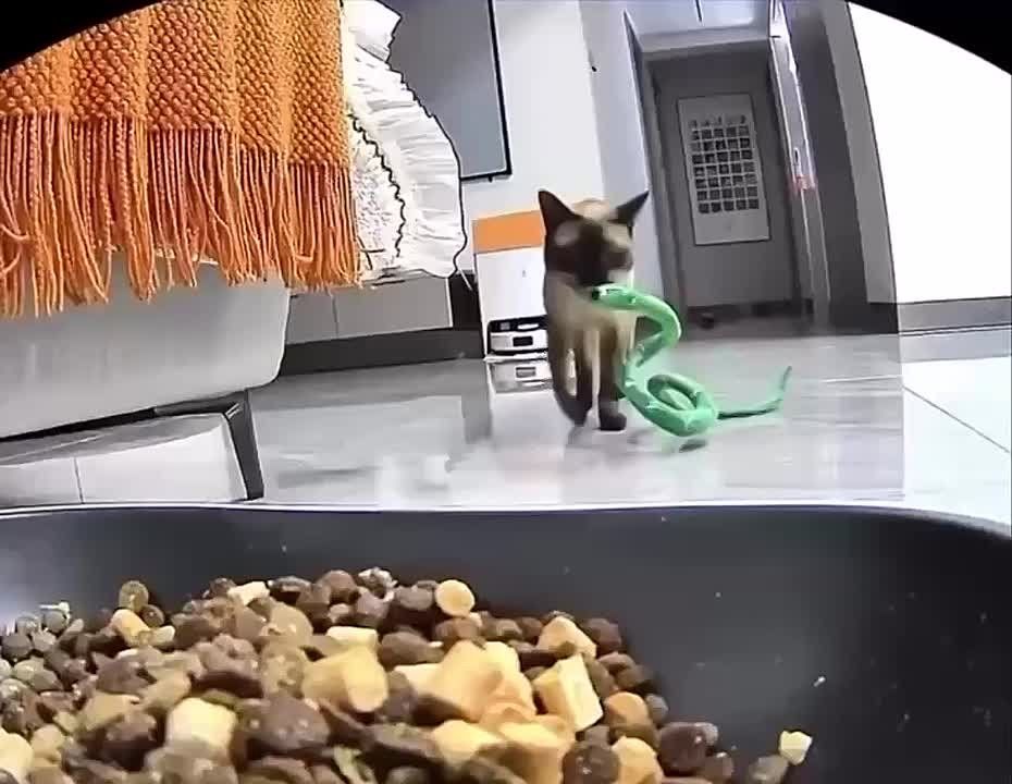 Доброе утро, друзья! Пусть о вас кто-то заботится так же, как этот котик о своей игрушке