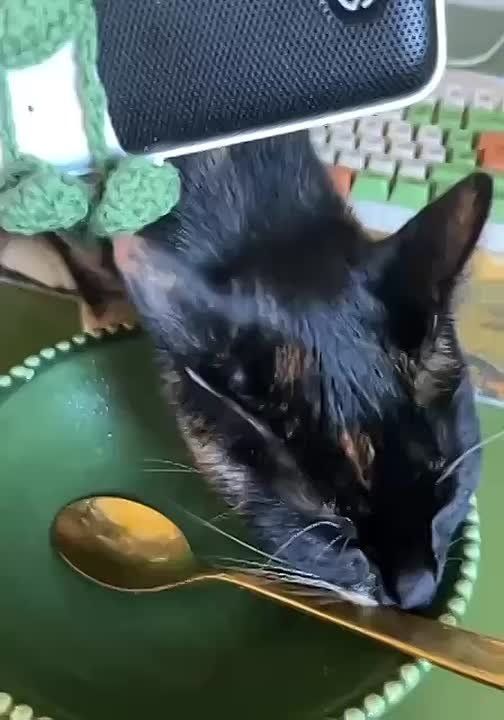 Что может быть лучше ароматного кофе утром? Только такой…