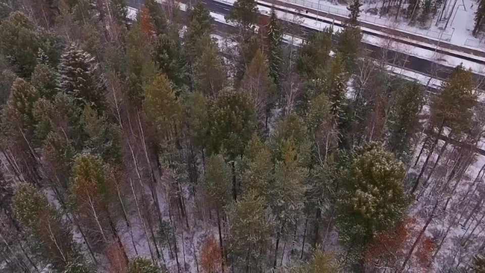 Глава Сургута Максим Слепов