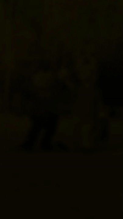 Срочно!. Только что стало известно, какие имена получили Олень и Бобер