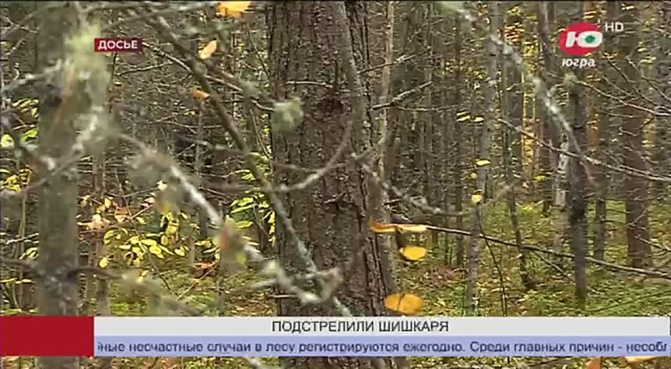 Югорчанин, случайно застреливший шишкаря, может получить 2 года тюрьмы