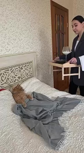 Желаем, чтобы каждое ваше утро начиналась так же, как у этого котейки