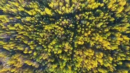 Югре — 95: у нашего общего дома 22 муниципалитета, и каждый звучит своим голосом, делая хор сильнее и красивее