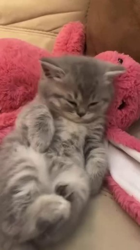 Миссия «Рабочая неделя» выполнена