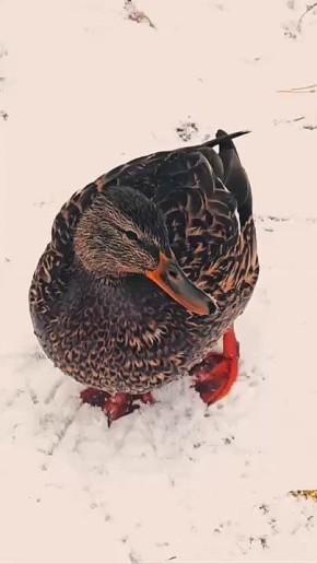 Жизнь - это прекрасное приключение, которым нужно наслаждаться каждый день