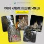 Продолжаем вести нашу рубрику — #Фотосуббота!