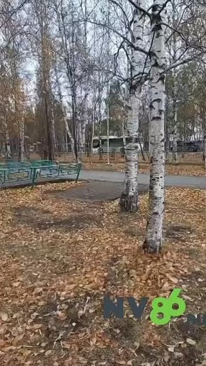 Острый репортаж снял неравнодушный вартовчанин и случилось чудо