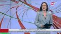 Собачье счастье - в Сургуте открыли новую площадку для выгула четвероногих