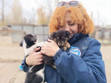 В Нижневартовске проходят зоозащитные акции по поддержке бездомных животных