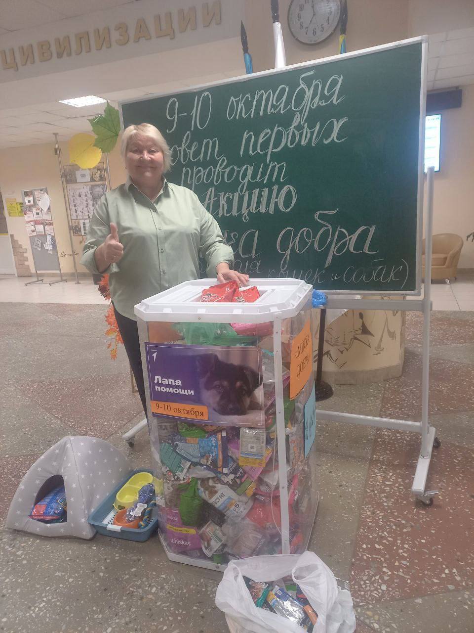 В Нижневартовске проходят зоозащитные акции по поддержке бездомных животных В Нижневартовске проходят зоозащитные акции по поддержке бездомных животных
