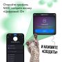 Цифровой ID в мессенджере MAX