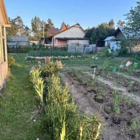 Эффективные и безопасные методы борьбы с тлёй и слизнями на даче