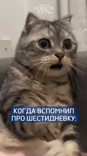 Делу время, а потехе час: готовимся к шестидневной рабочей неделе
