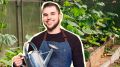 Так поливать огурцы в теплице нельзя: погубите весь урожай