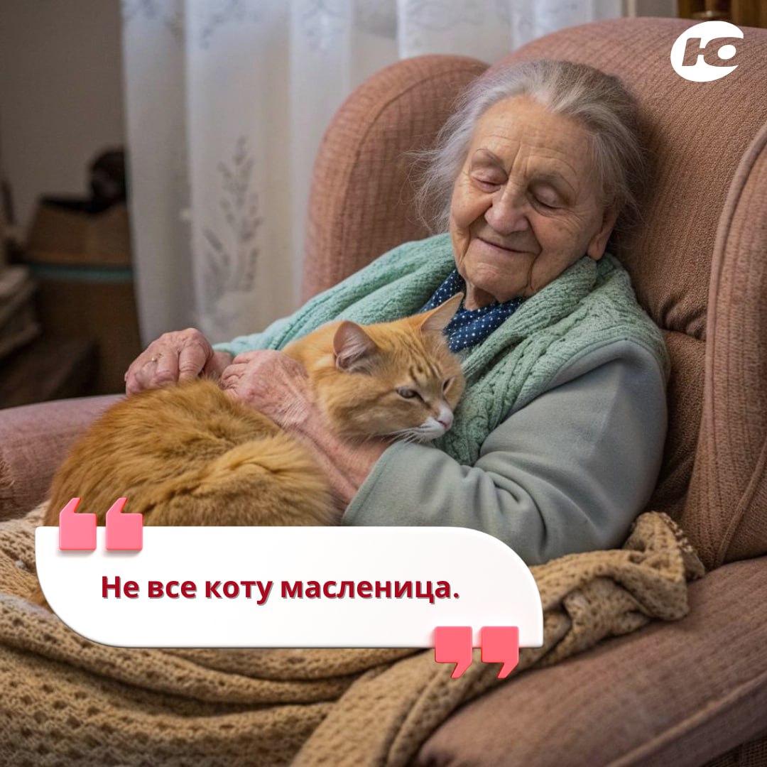 Сегодня отмечают один из самых тёплых праздников — День бабушек и дедушек! Сегодня отмечают один из самых тёплых праздников — День бабушек и дедушек!