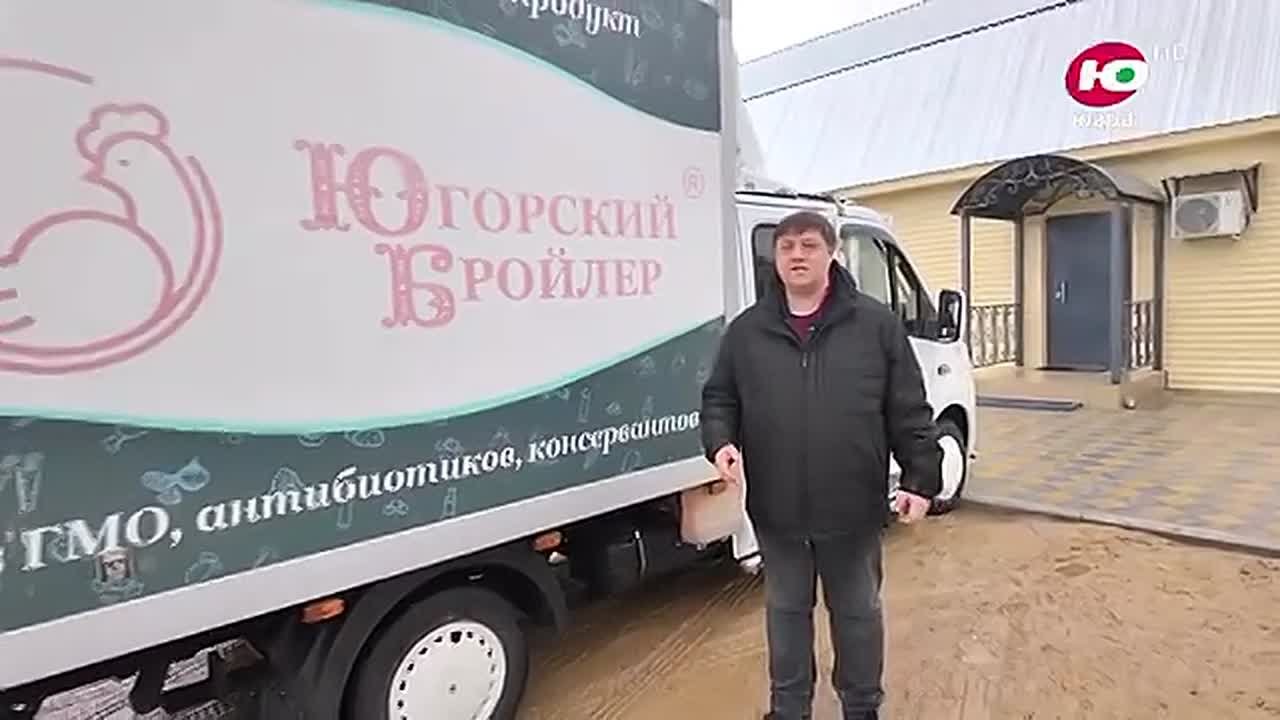 Какой путь проходит курица до появления на прилавке и как нелёгок труд птицевода?